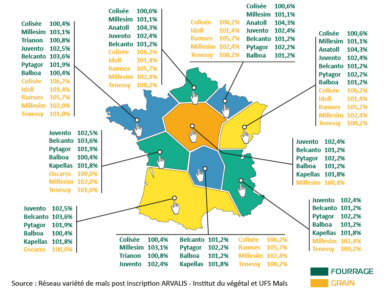 resultats mais  carte