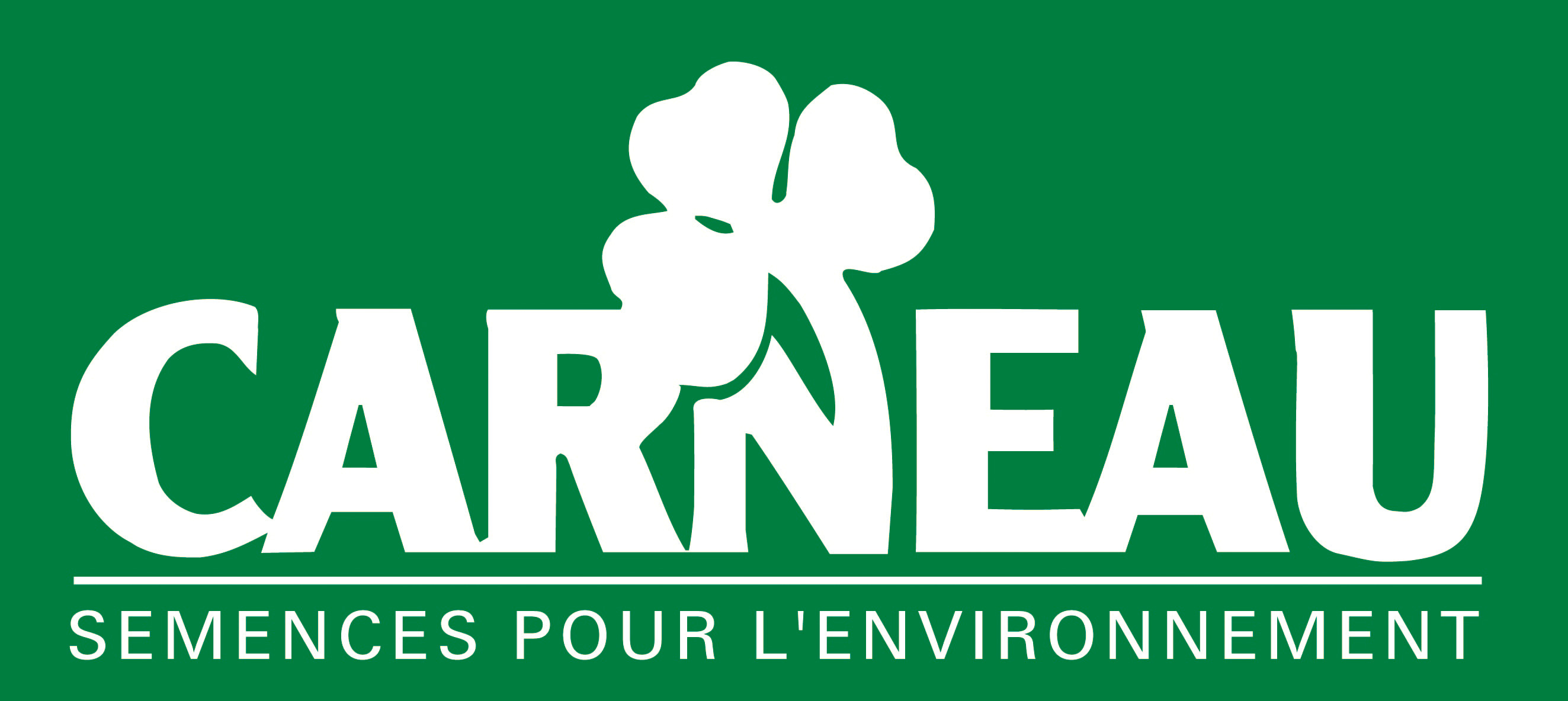 Carneau Logo